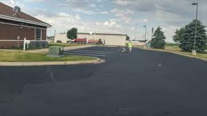 Best Driveway Pressure Washing  in Decatur, MI